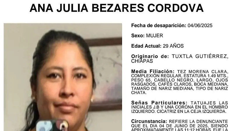 desaparecido